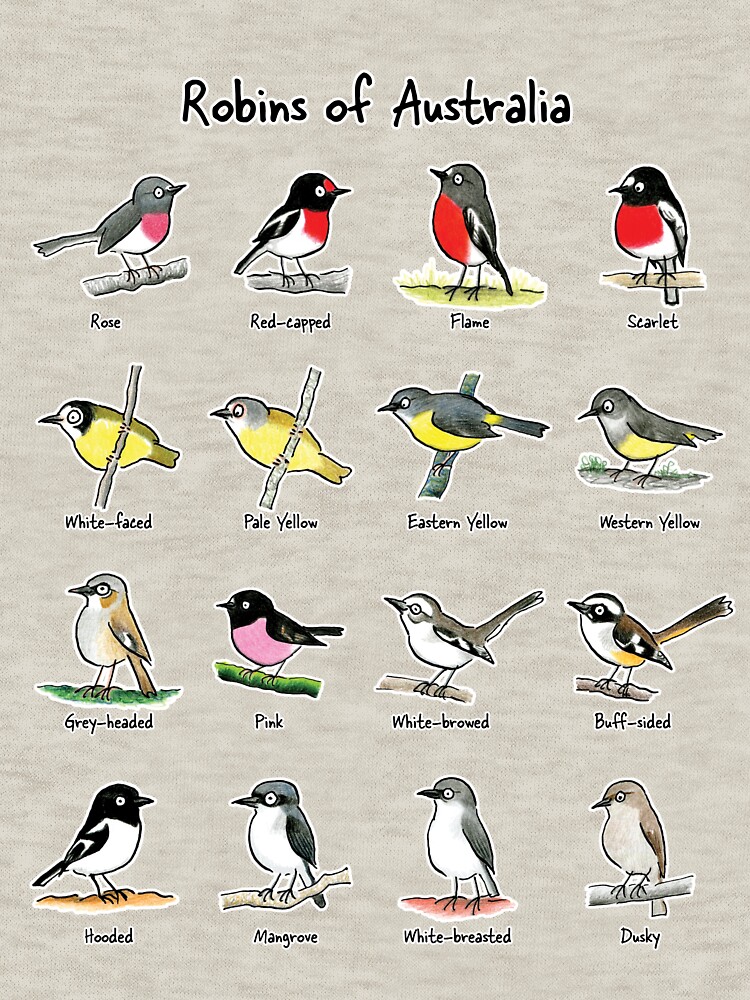 Thumbnail 7 of 7, Classic T-Shirt, Robins of Australia - Raising funds for Birdlife Australia designed and sold by PaperbarkW.