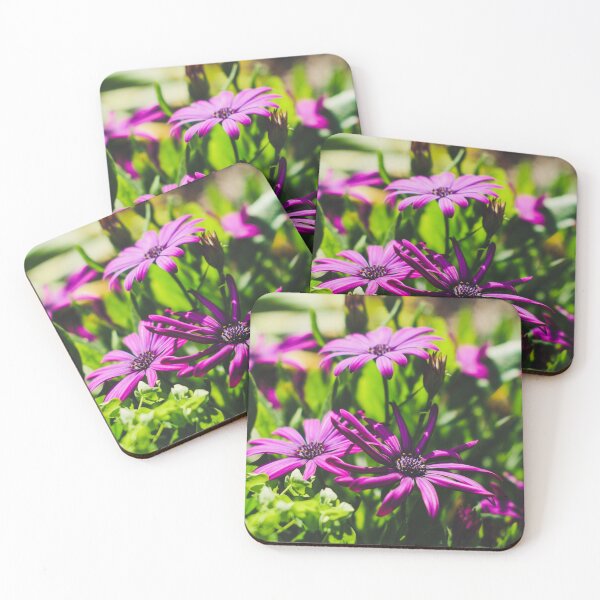 Item preview, Purple African Daisies designed and sold by jcreative81.