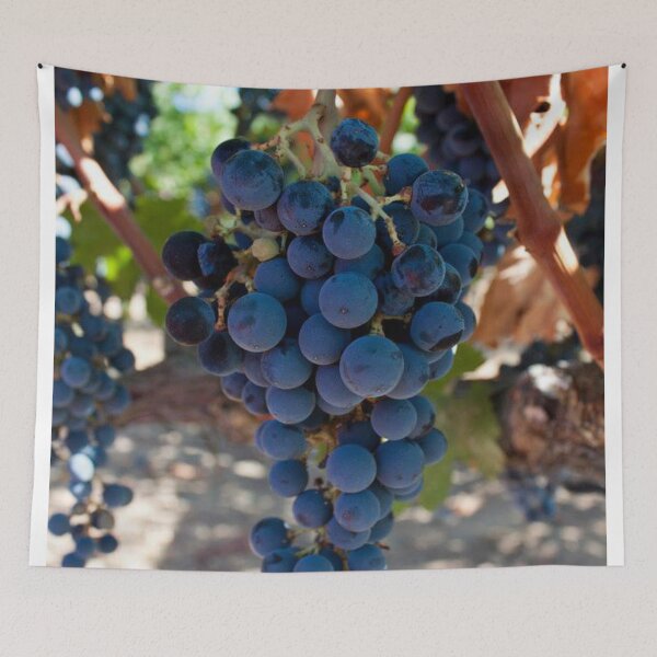 Item preview, Vineyard  designed and sold by Jacquelie.