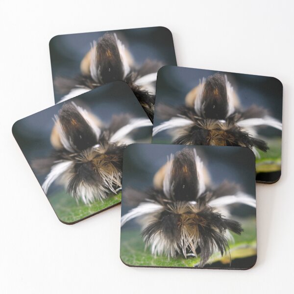 Item preview, Milkweed Tussock (Tiger) Moth Hair Day designed and sold by mark-bugs-org.