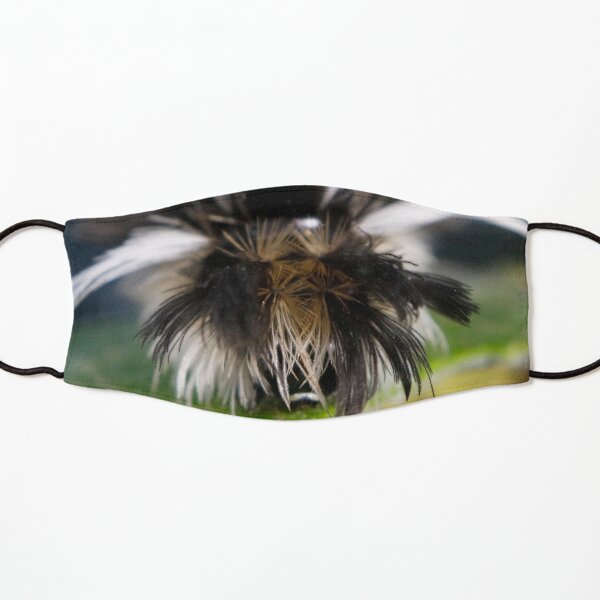 Milkweed Tussock (Tiger) Moth Hair Day Kids Mask