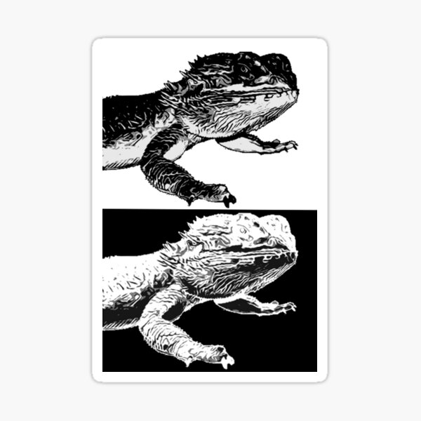 Bearded Dragon Pattern Black and White Sticker