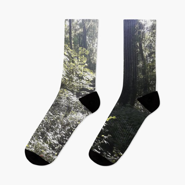 Item preview, Forest path designed and sold by M Minerrale.