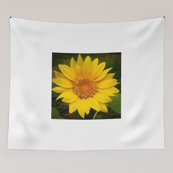 Item preview, A wonderful Sunflower designed and sold by ValueEveryThing.