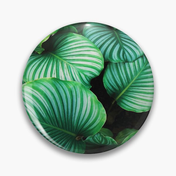 Item preview, Green and White Leafed Plants designed and sold by Savleub.