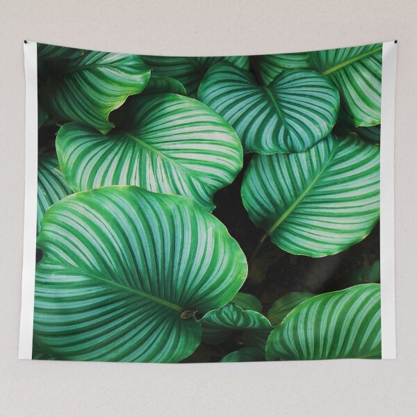 Item preview, Green and White Leafed Plants designed and sold by Savleub.