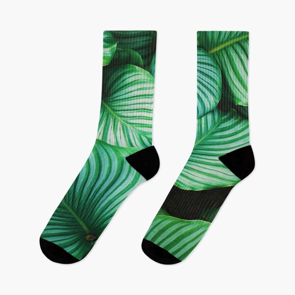 Item preview, Green and White Leafed Plants designed and sold by Savleub.