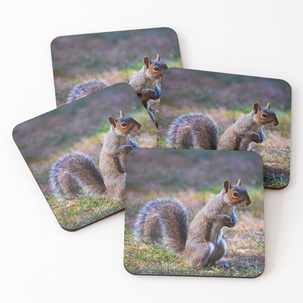 Item preview, Grey Squirrel UK  designed and sold by LivingDeadGirlx.