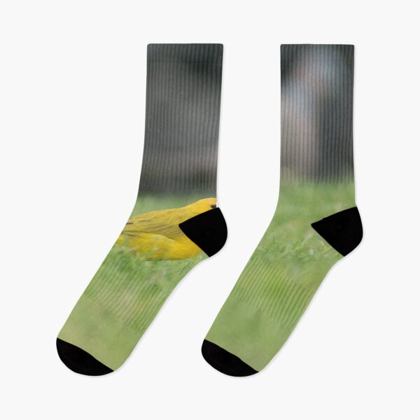 Item preview, Saffron Finch designed and sold by KensLensDesigns.