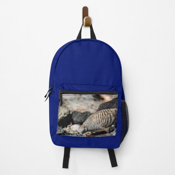 Item preview, Spotted dove of hawaii designed and sold by KensLensDesigns.