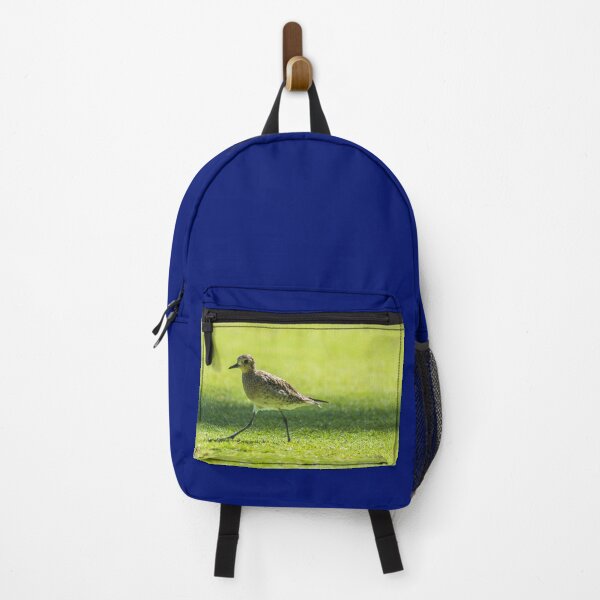 Item preview, Sharp-tailed sandpiper of hawaii designed and sold by KensLensDesigns.