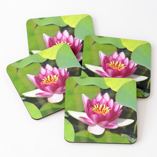 Item preview, Water Lily designed and sold by AGODIPhoto.