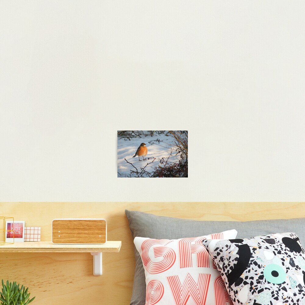 Item preview, Photographic Print designed and sold by debraroffo.