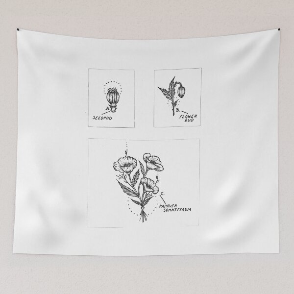 Item preview, Poppy Botanical Chart designed and sold by Tara Margolis.