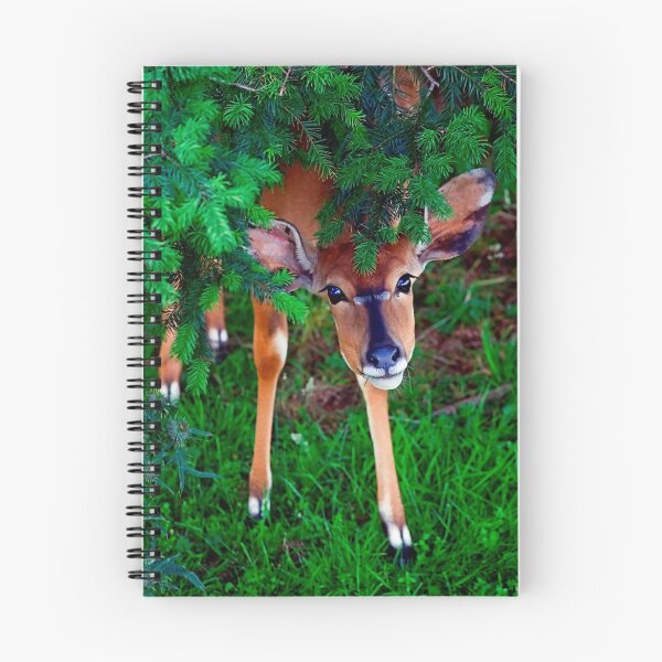 Item preview, Peek-a-Boo designed and sold by Stuart Robertson Reynolds.