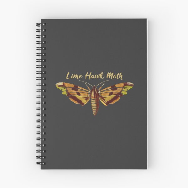 Item preview, Lime Hawk Moth Love Beautiful Moths Exotic Bug Insect Life Gift designed and sold by MerchStudy.