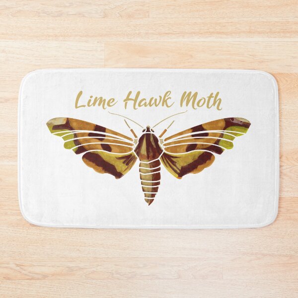 Item preview, Lime Hawk Moth Love Beautiful Moths Exotic Bug Insect Life Gift designed and sold by MerchStudy.