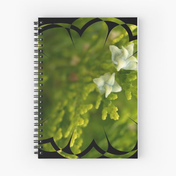 Item preview, cypress like designed and sold by tbshots.