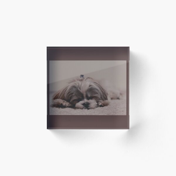Puppy Love Acrylic Block
