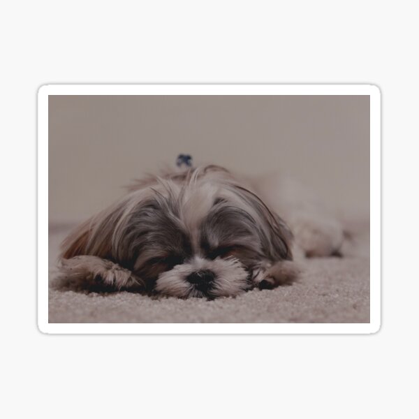 Puppy Love Sticker