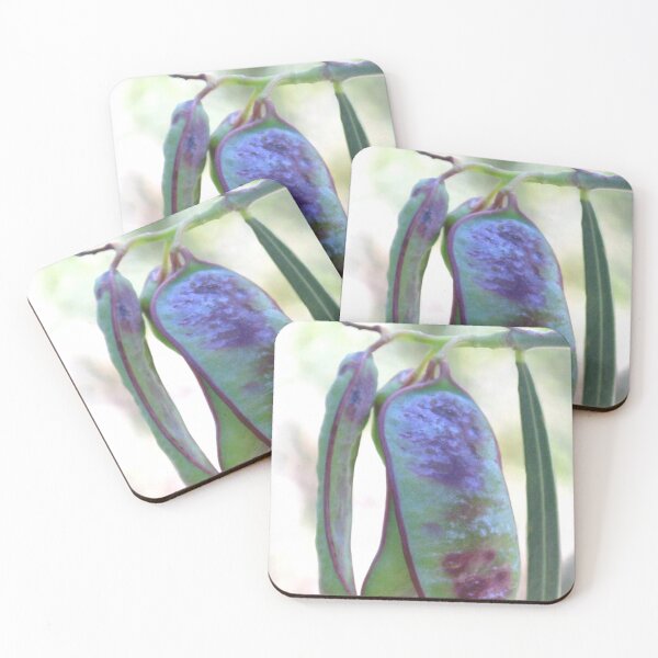 Item preview, Seed Pods - Booderee National Park designed and sold by Marilyn Harris.