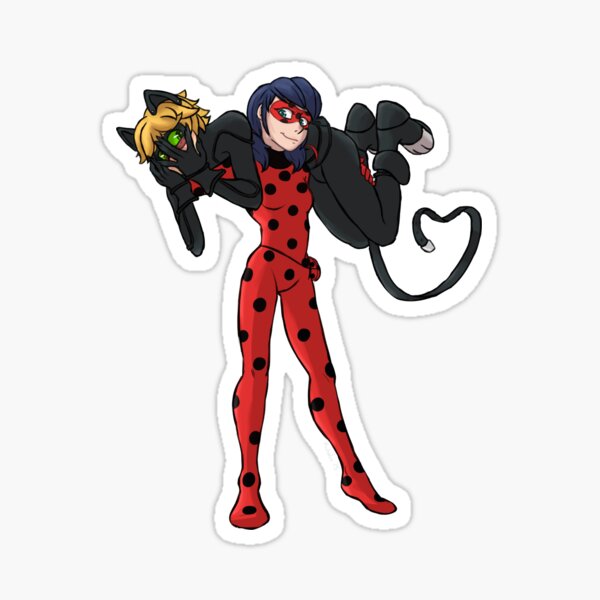 Miraculous Ladybug Chat Noir Stickers | Redbubble