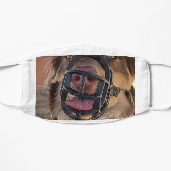 The MOGI Mask