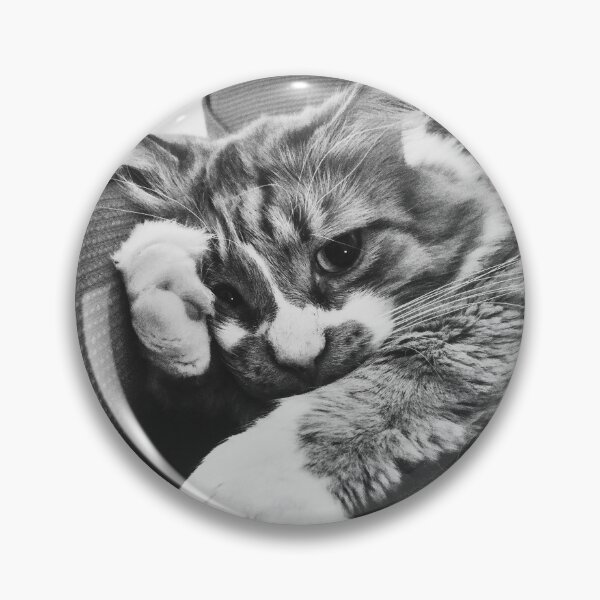 Item preview, EL GATO LATERAL DEL OJO ESTÁ SOBRE ELLA. UGH. Imagen de meme gatito divertido. designed and sold by Good-Politics.
