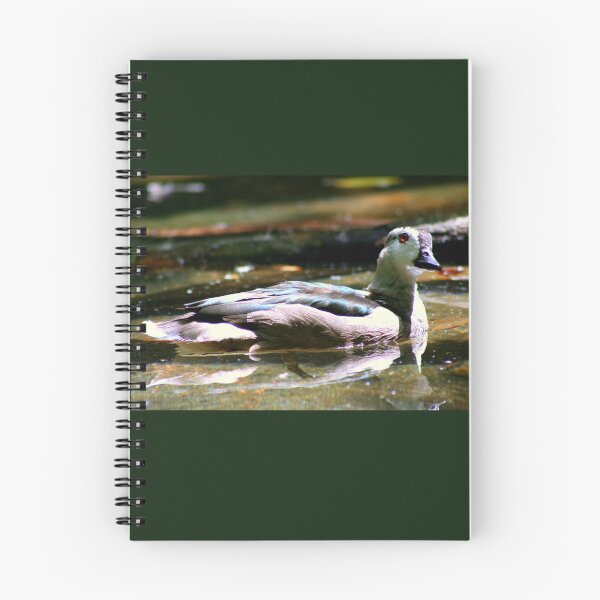 Item preview, Asian Cotton Pygmy Goose designed and sold by anitahiltz.