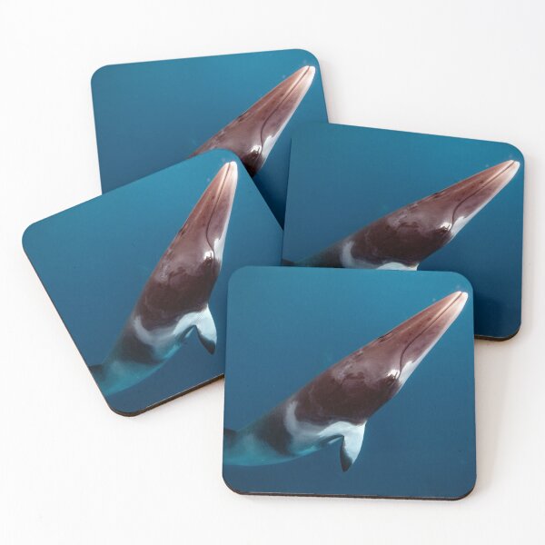 Item preview, Minke magic designed and sold by David Wachenfeld.