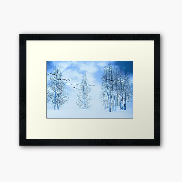 Winter segals Framed Art Print