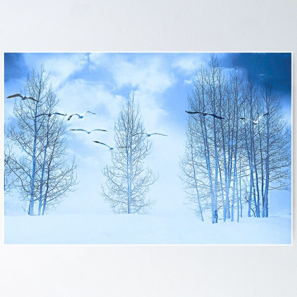 Item preview, Winter segals  designed and sold by AngelBradahaw.