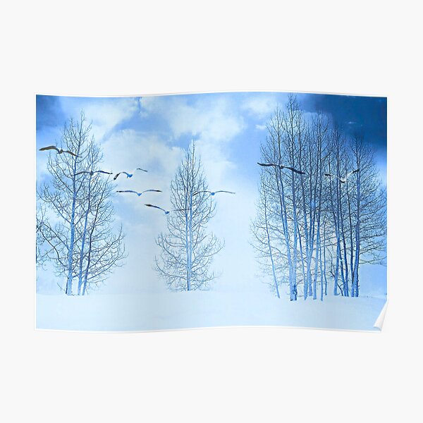 Winter segals Poster