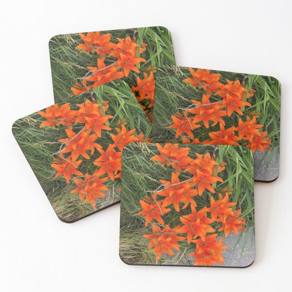 Item preview, Tiger Lilies designed and sold by Julianna Rachie.