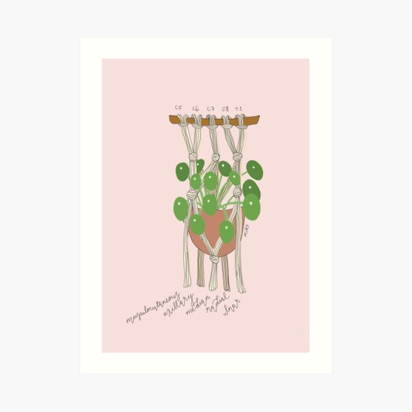 Brachial Plexus Macrame Basket Art Print