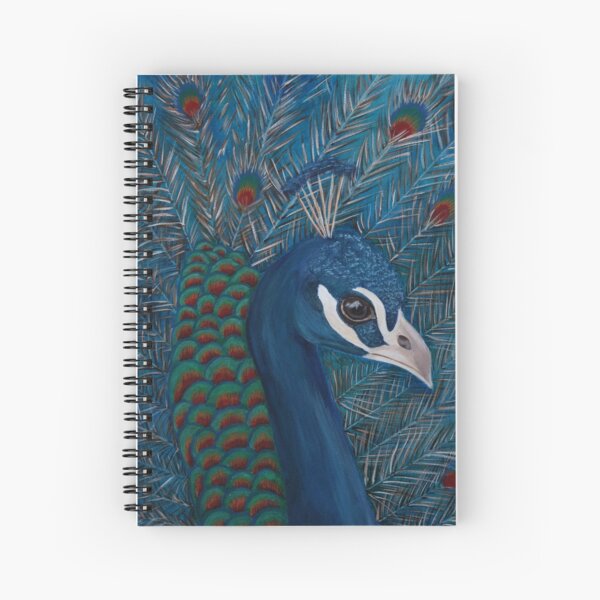 Radiant Spiral Notebook