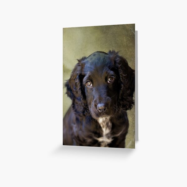 This is Dave Greeting Card