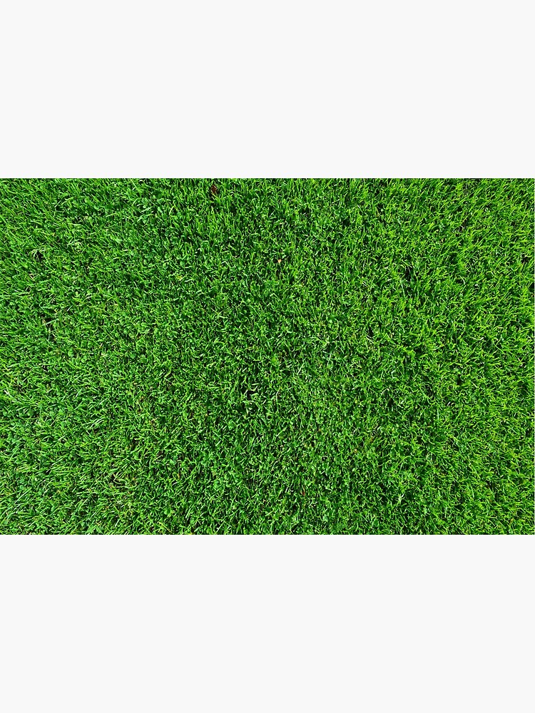Grass by surreal77