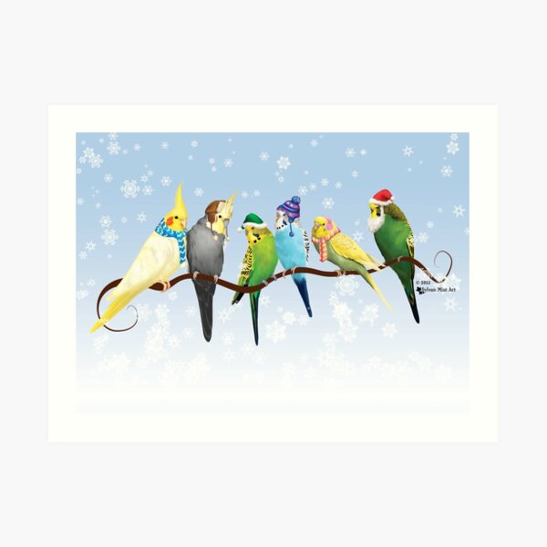 Winter Parakeets & Cockatiels Art Print