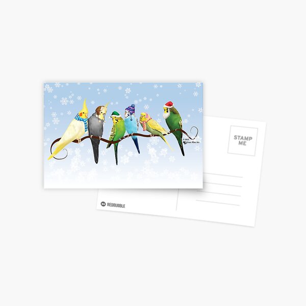 Winter Parakeets & Cockatiels Postcard