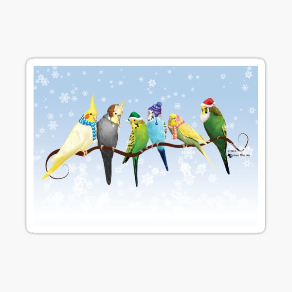 Winter Sittiche & amp; Nymphensittiche Sticker