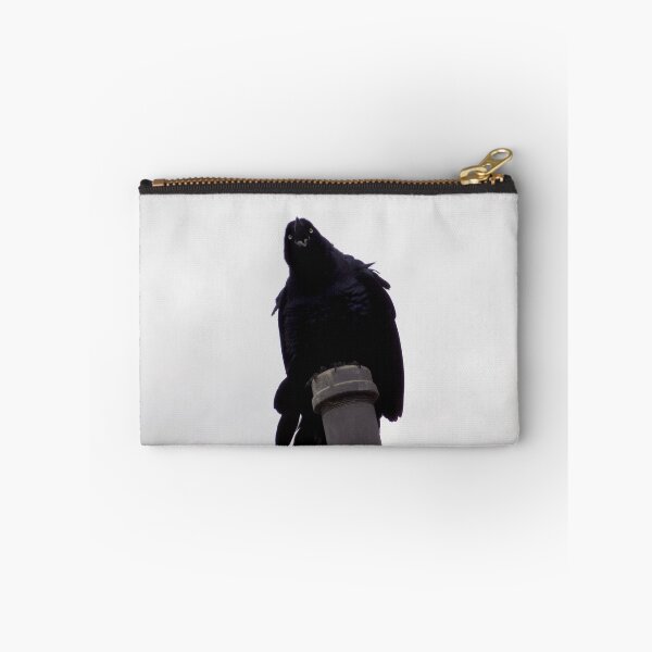 Item preview, Great-tailed Grackle (Quiscalus mexicanus) Scream! designed and sold by Inuyasha907.