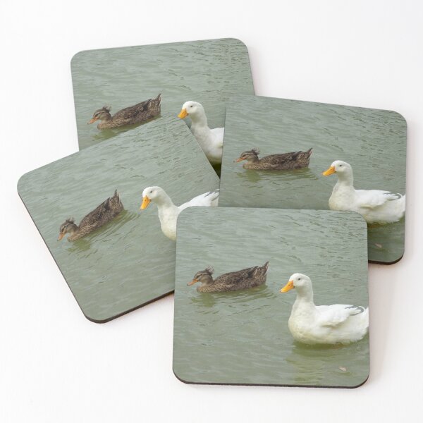 Item preview, Domestic & Crested Duck Crosses designed and sold by Inuyasha907.