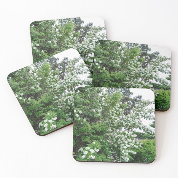 Item preview, Beautiful Flowers Nature designed and sold by AnnesLovelys.