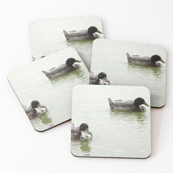 Item preview, Dark-Headed Domestic Duck Crosses designed and sold by Inuyasha907.
