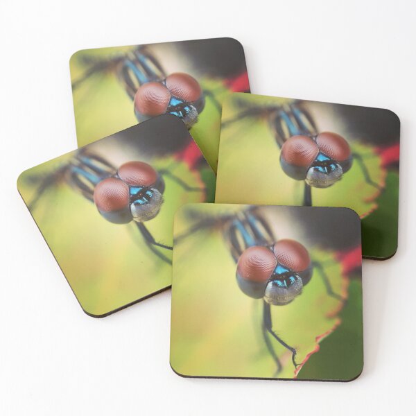 Artikelvorschau, Blaue Dasher Libelle entworfen und verkauft von Sk8Legged.