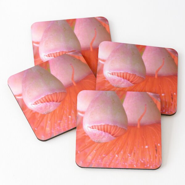 Item preview, Gum Nut Ballet designed and sold by Marilyn Harris.