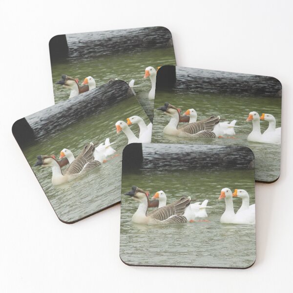 Item preview, A Gaggle of Chinese Geese (Anser cygnoides) designed and sold by Inuyasha907.