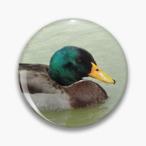 Item preview, Single Mallard (Anas platyrhynchos) designed and sold by Inuyasha907.