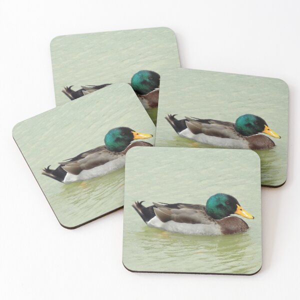 Item preview, Single Mallard (Anas platyrhynchos) designed and sold by Inuyasha907.